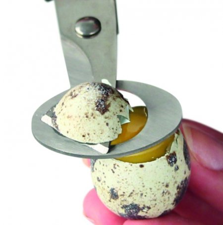 Tijeras para abrir huevos de codorniz